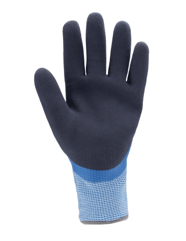 GANTS EUROWINTER D100 CUT D. 13G HPPE LATEX 2 TRICOTS